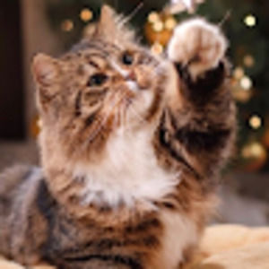 Meet your Posher, Marybella